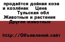 продаётся дойная коза и козлёнак  › Цена ­ 10 000 - Тульская обл. Животные и растения » Другие животные   